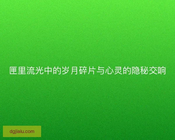 匣里流光中的岁月碎片与心灵的隐秘交响