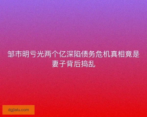 邹市明亏光两个亿深陷债务危机真相竟是妻子背后捣乱